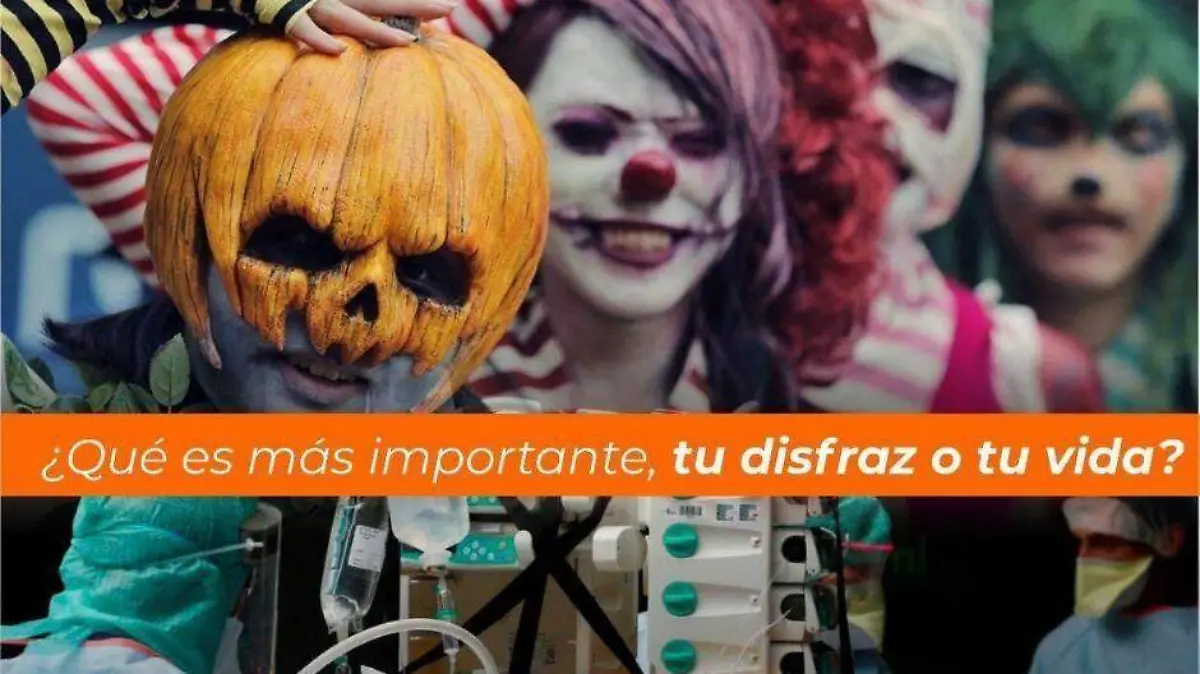 Foto (11)