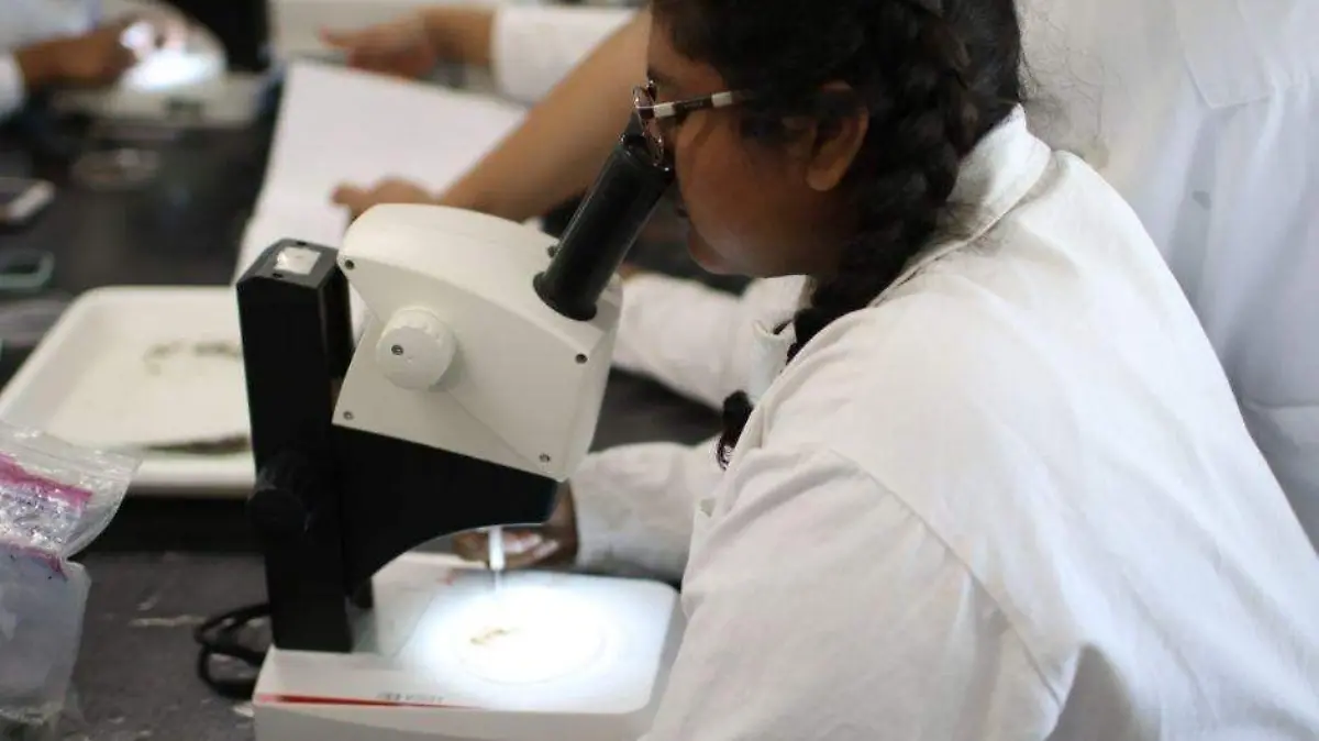 Foto - 2021-04-15T210939.641