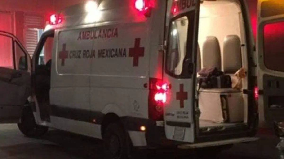 Foto - 2021-01-29T220314.453