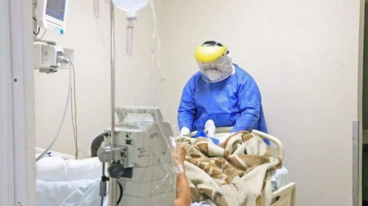 Foto - 2021-02-08T211913.123