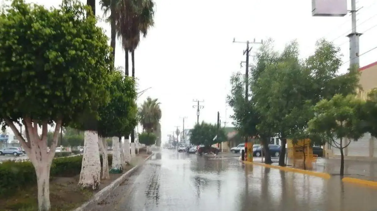 Foto - 2021-01-22T205652.404