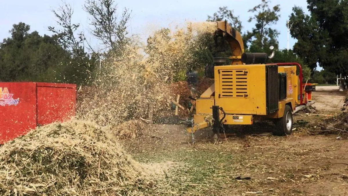 Recepción de arbolitos Eco Parque