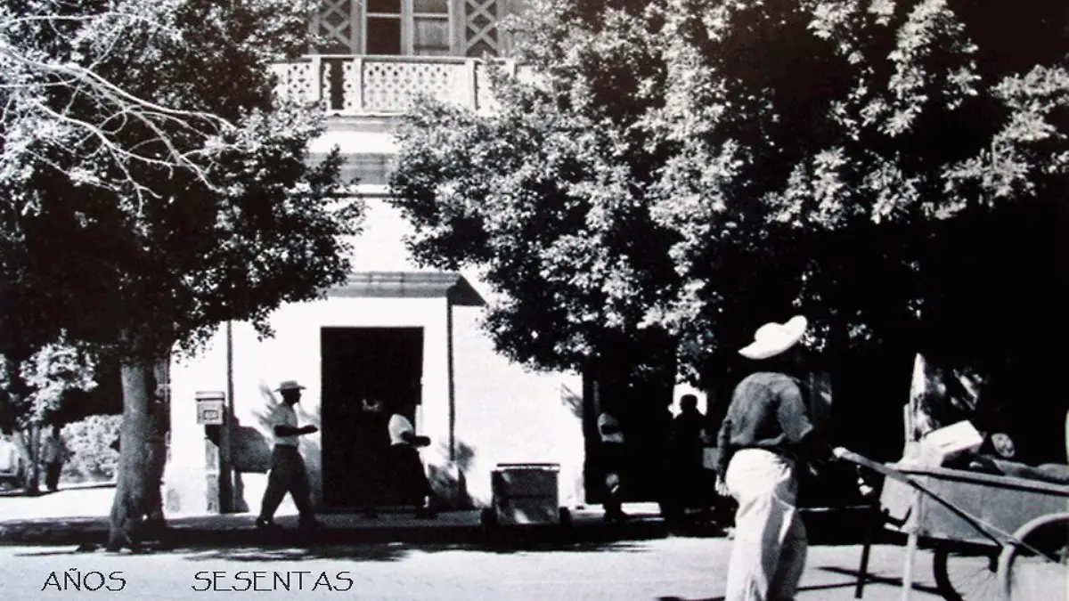 actividades culturales de la paz