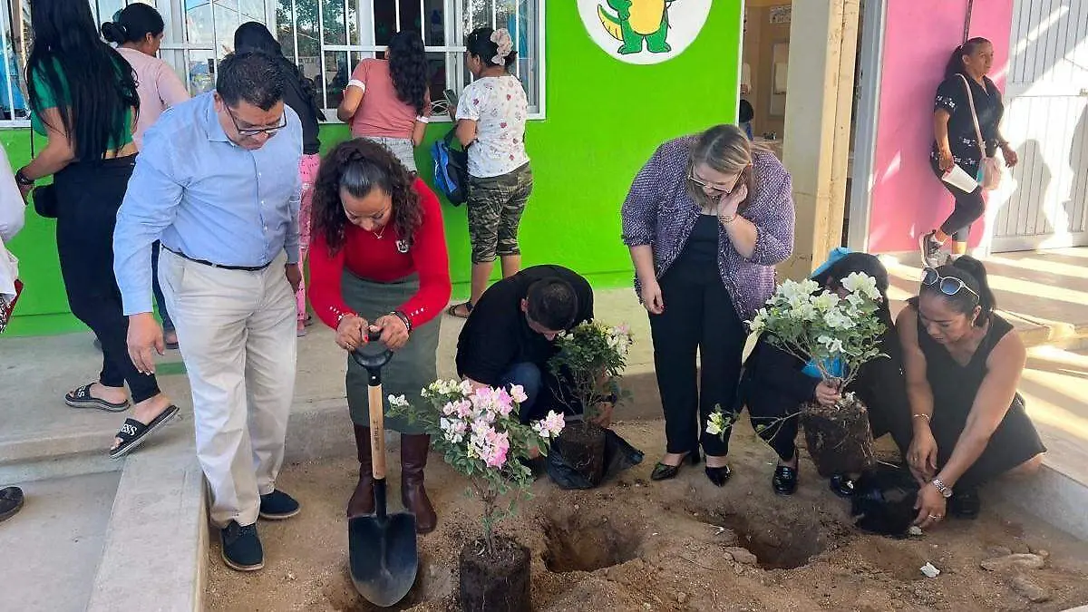reforestacion en escuela de cabo san lucas