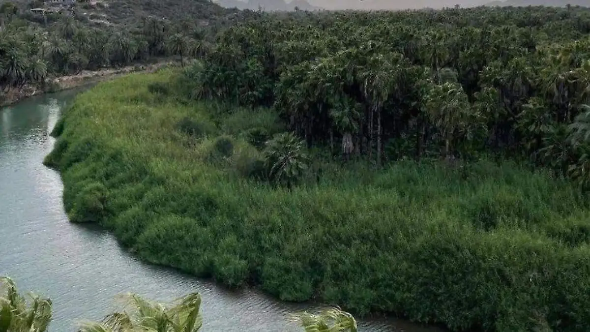 Turismo y oasis en mulege