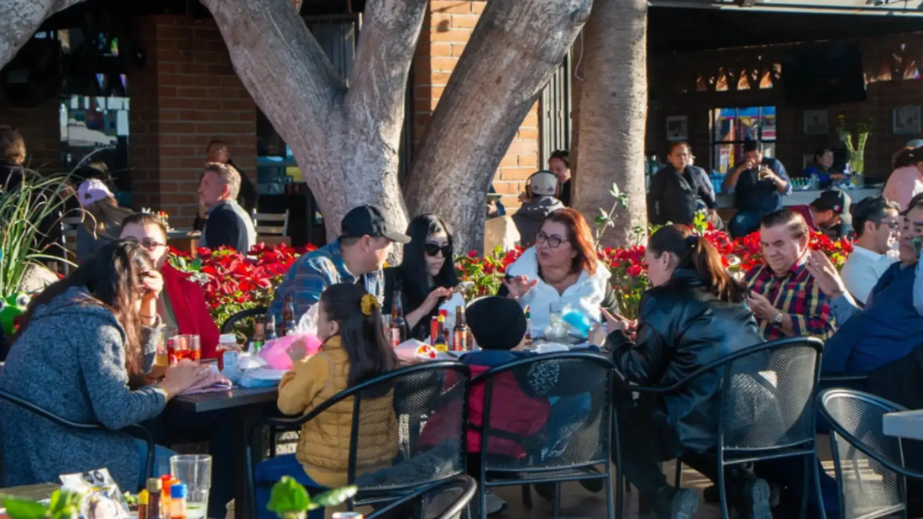 restaurante turistas y la Propina no es obligatoria 