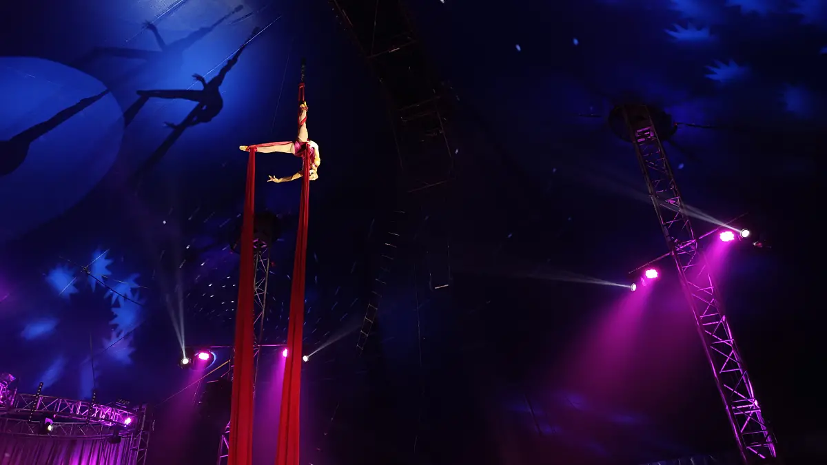 Franccesco: El circo es su vida