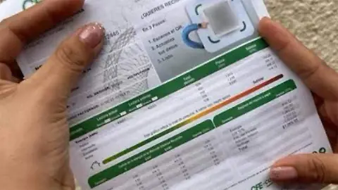 Cambia gratis el nombre del titular de tu recibo de CFE ¿Cuáles son los requisitos? - El Sudcaliforniano | Noticias Locales, Policiacas, sobre México, Baja California Sur y el Mundo