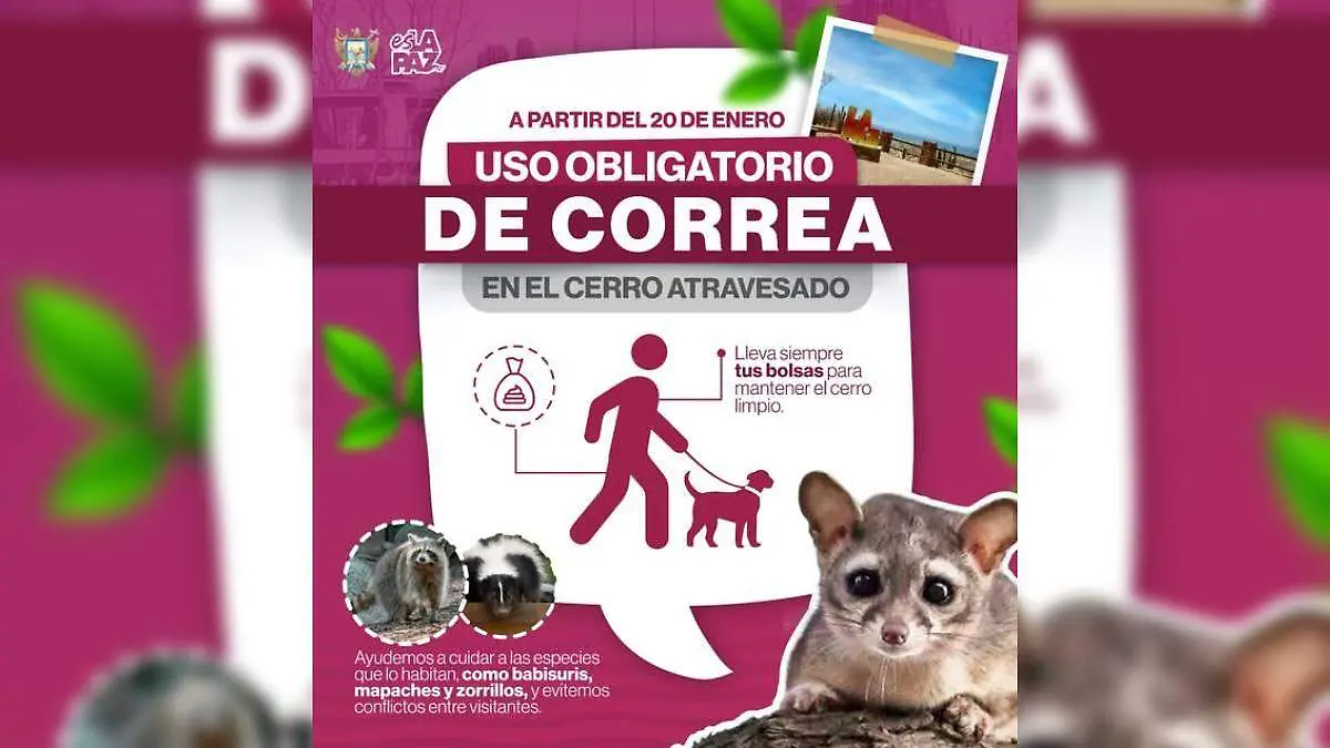 uso obligatorio de correo en el cerro atravesado