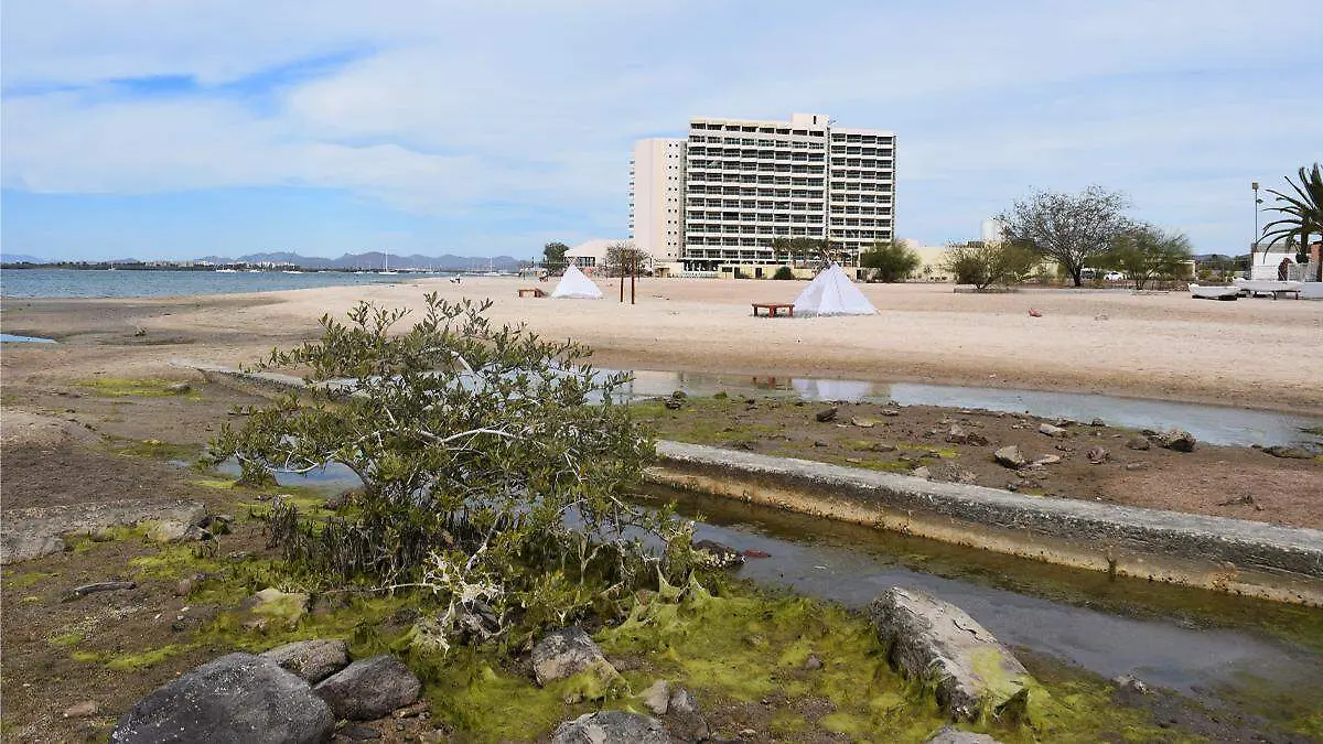 Buscan instalar muelle de lujo en icónica playa de La Paz