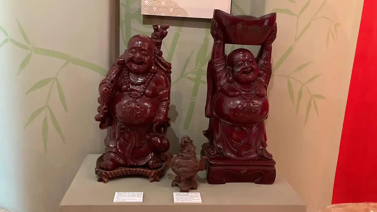 exposicion china bcs 