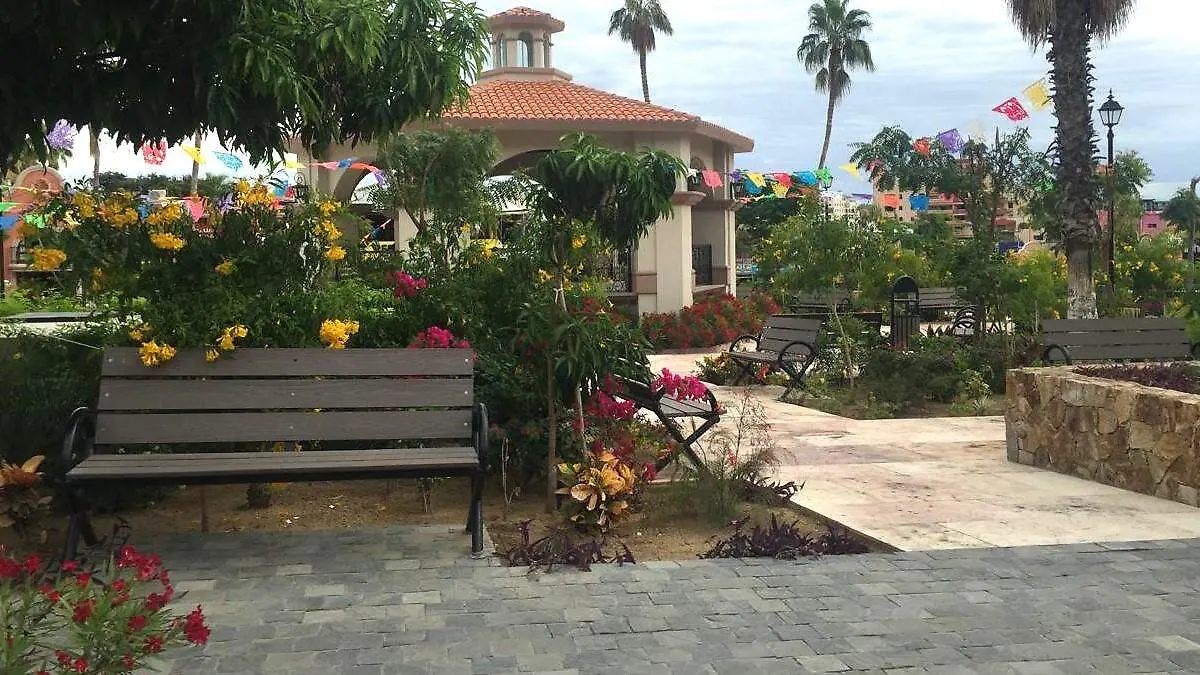 areas verdes de la plaza amelia wilkes