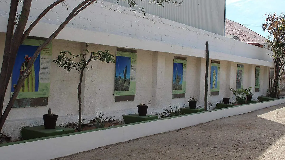 Expo flora y fauna la paz