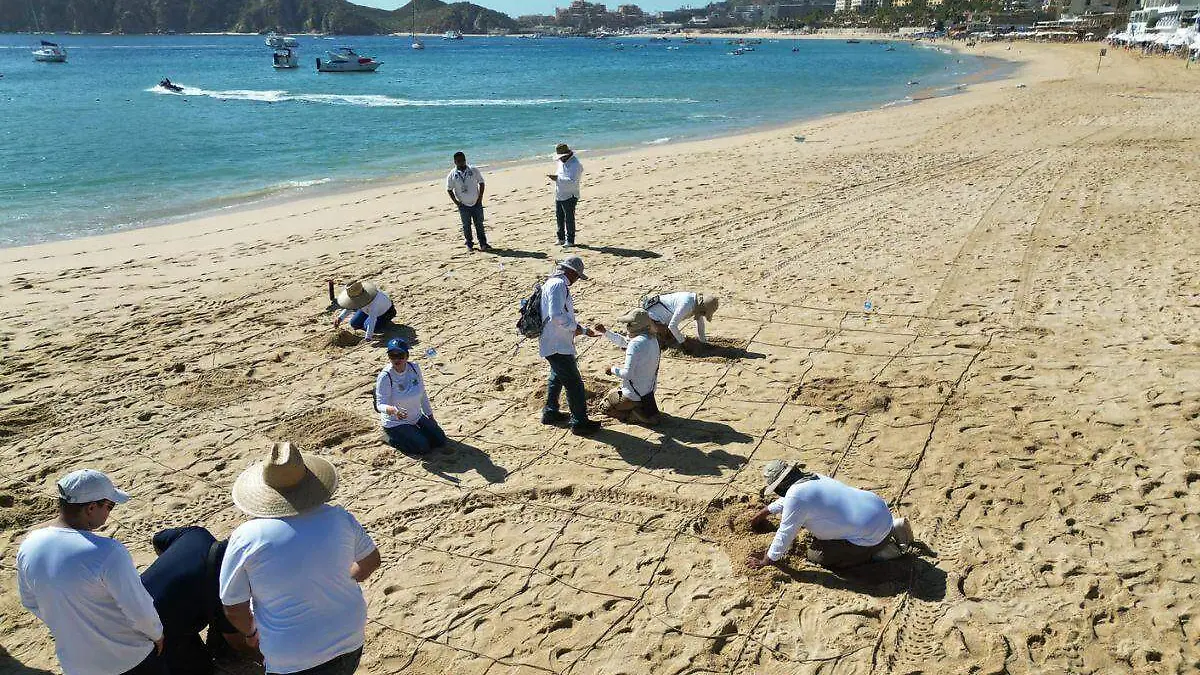 Reciben 5 playas de El Médano certificación Blue Flag