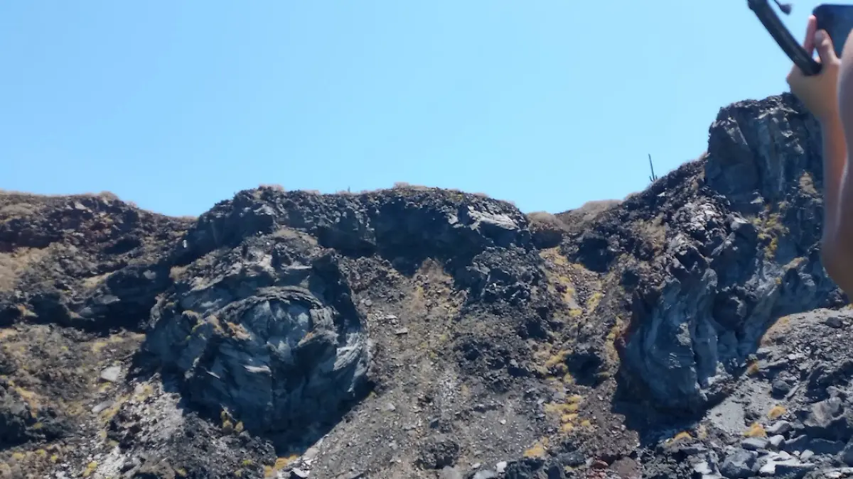 hongo de loreto esta en la playa de la isla danzante