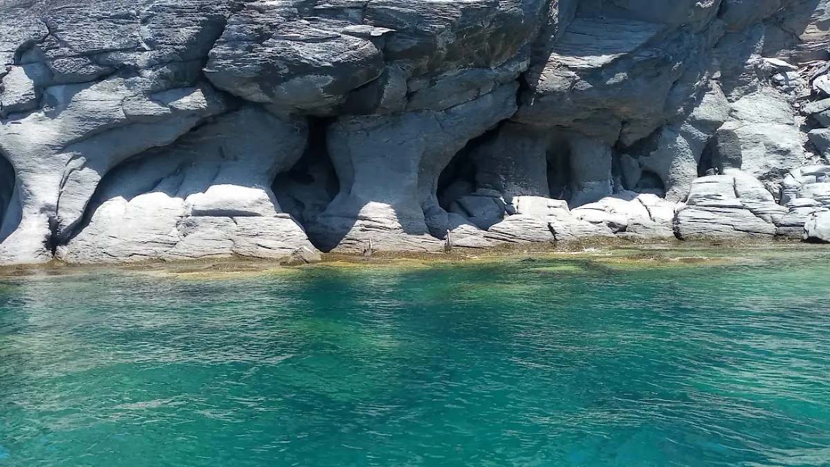 hongo de loreto en el parque nacional bahia de loreto 
