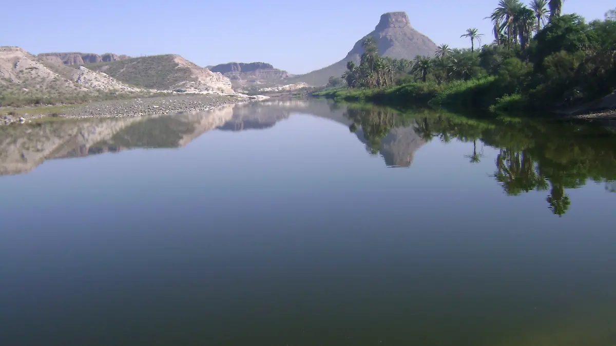 Baja California Sur tiene 65 humedales, 11 de ellos son sitios Ramsar
