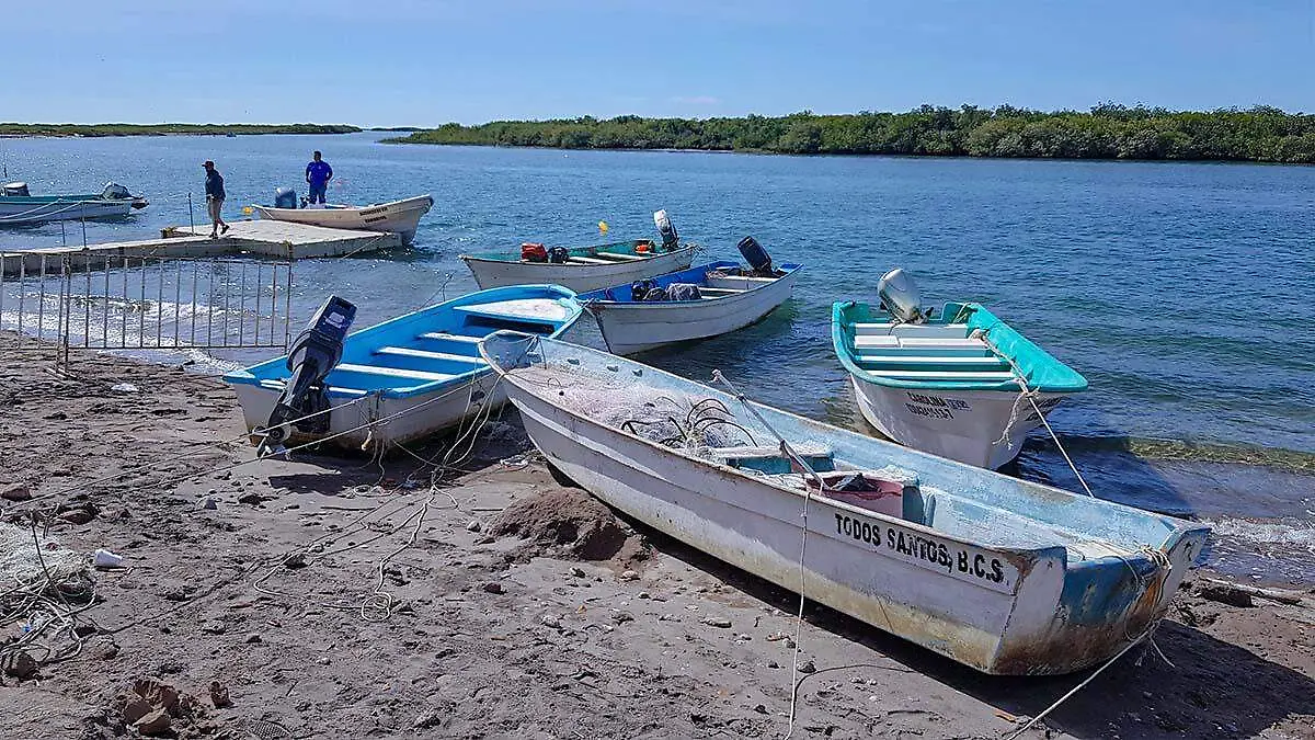 Pescadores de Puerto Chale pangas
