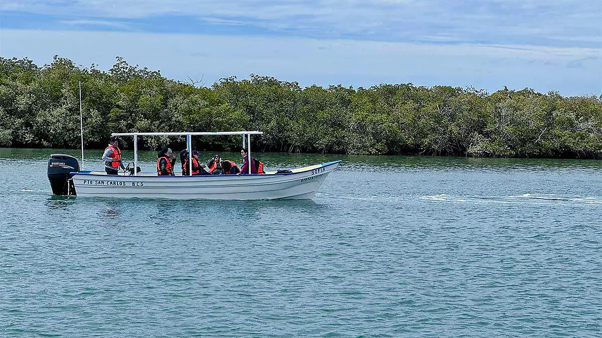 Recorrido avistamiento Ballena Gris Puerto Chale turistas