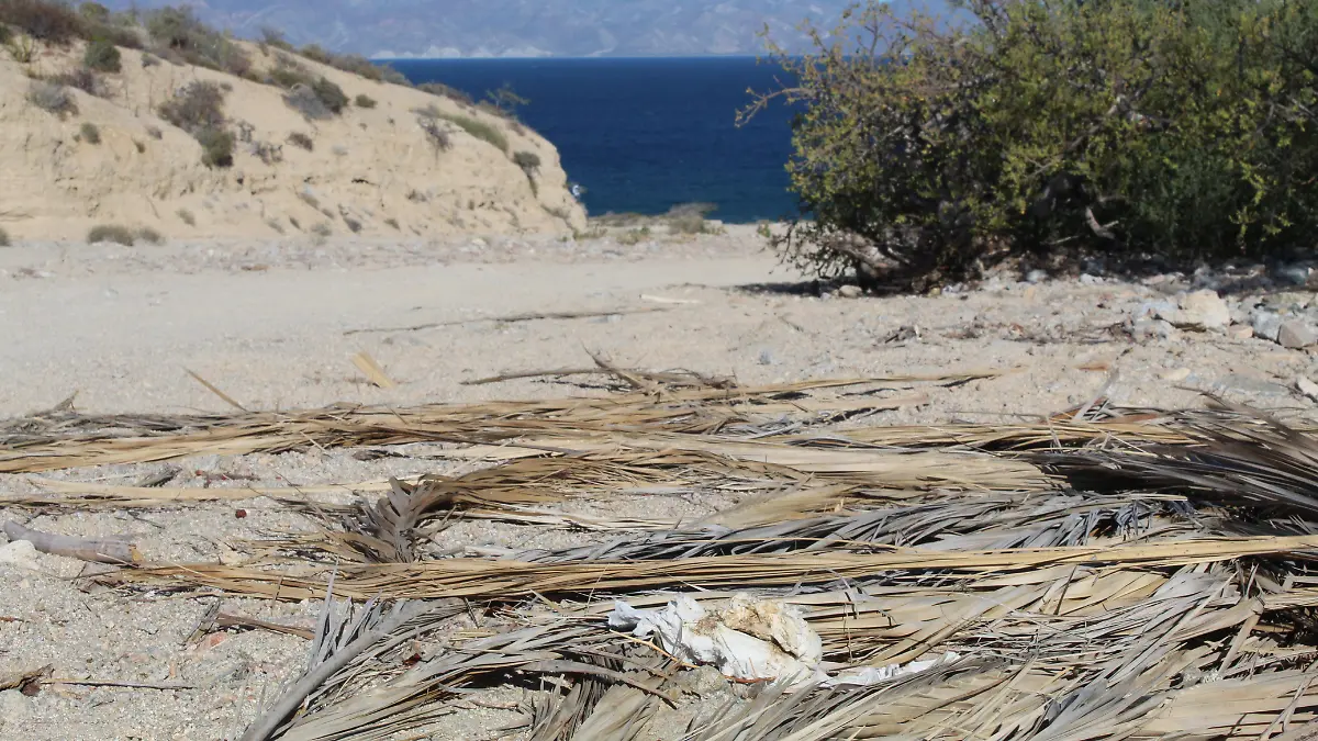 Basura en playa 