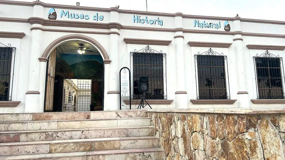 museo 1