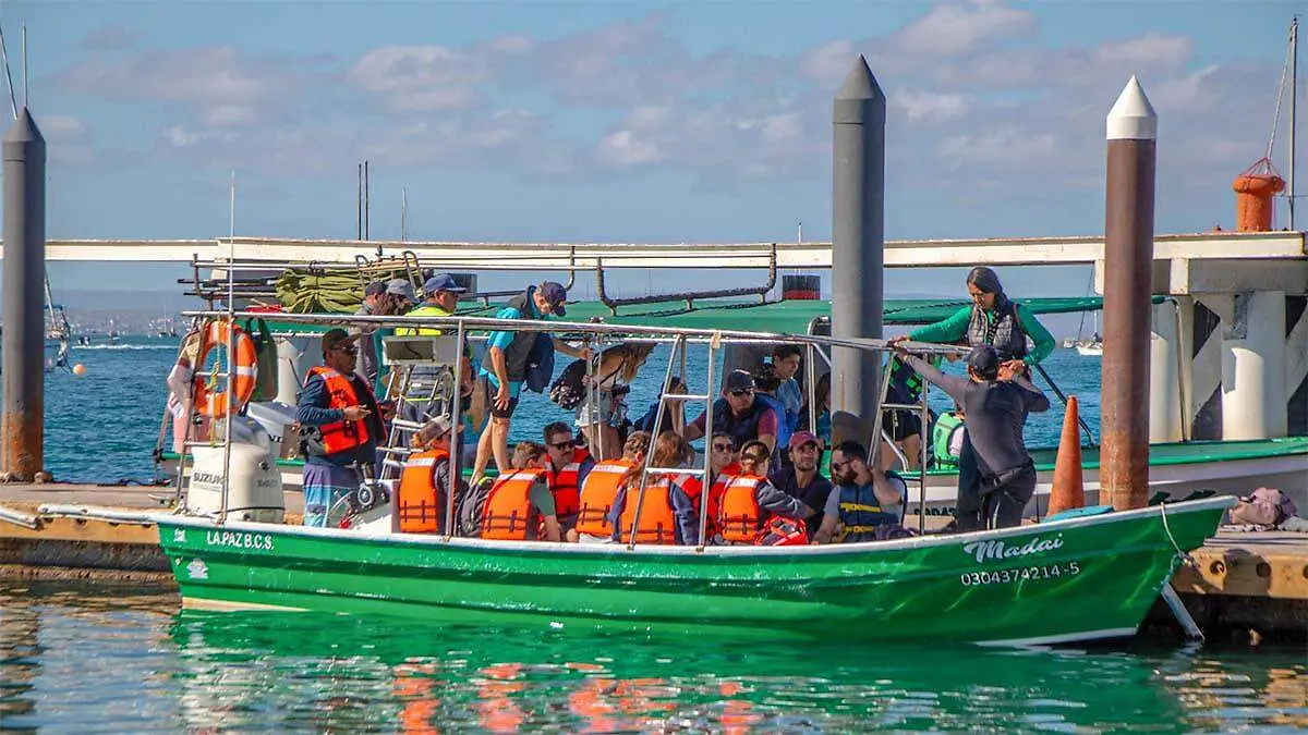servicio de guía de turistas hacia isla Espíritu Santo