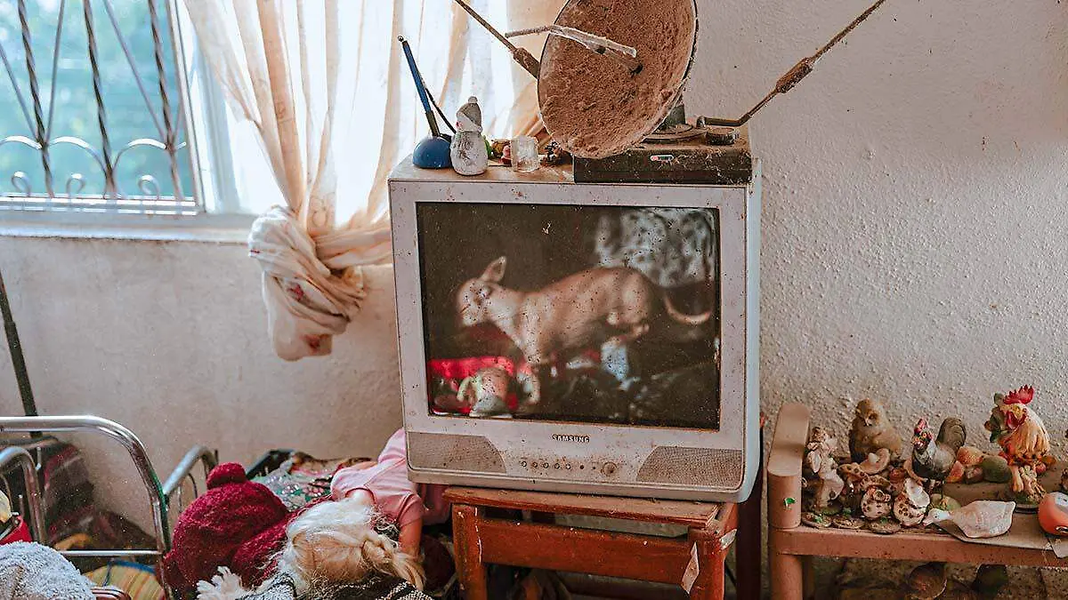 sindrome diogenes acumulacion de basura