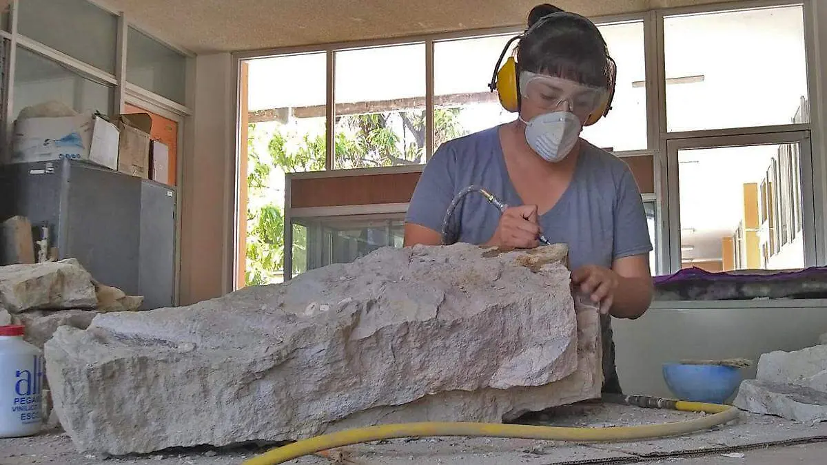 SOLIS ANORVE CIENTIFICA de la uabcs