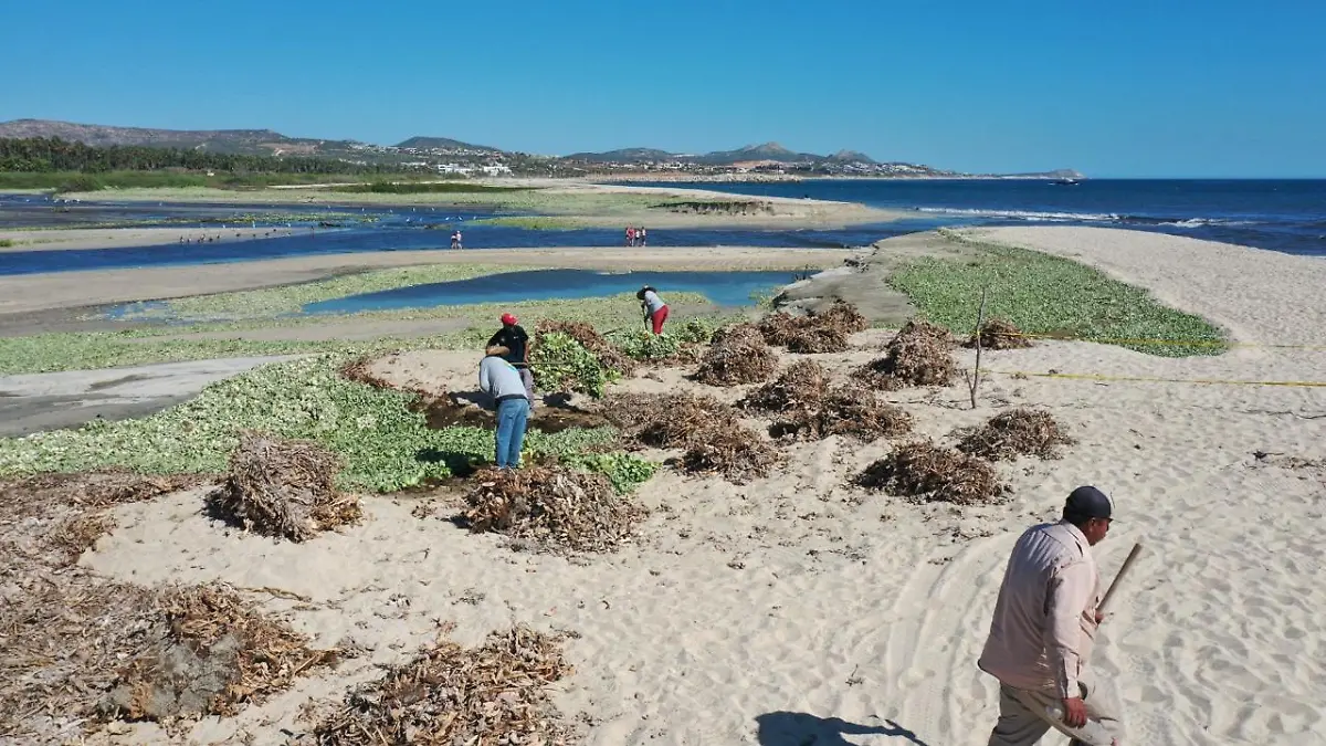 estero de san jose la bocana