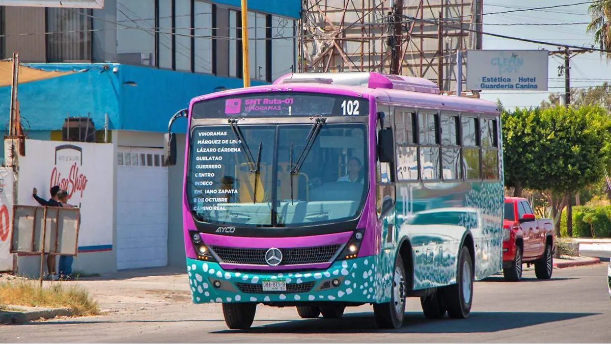 TIBURON URBANO LA PAZ