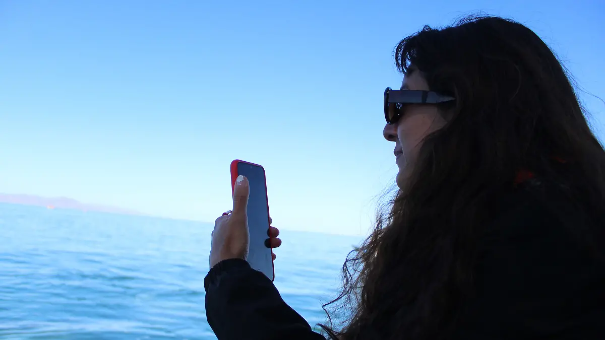 ballena gris puerto chale