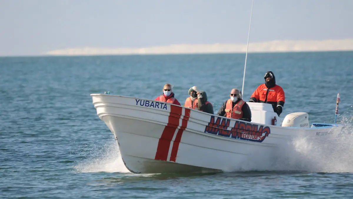 lancha o panga avistando ballenas