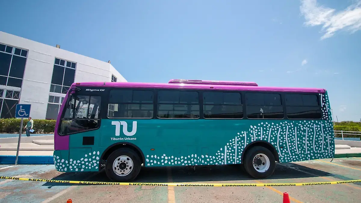 cuanto cuesta el tiburon urbano de la paz