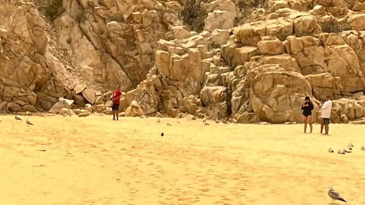 encuentran cabeza de chivo y muñecos de tela en playas de los cabos durante limpieza