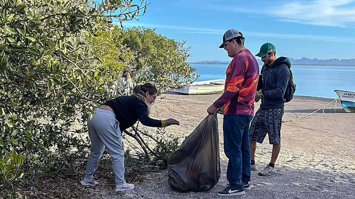 cual es el desecho mas encontrado en las playas de la pa