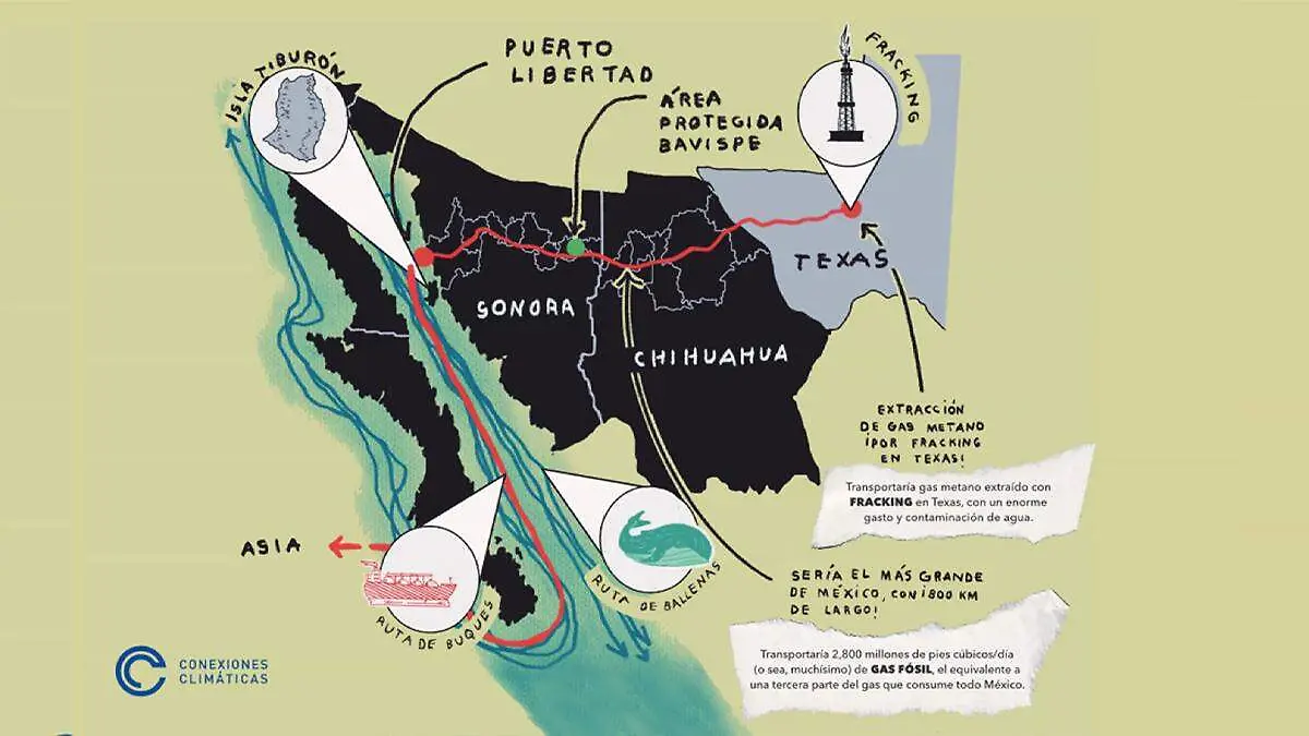 ballenas o gas conexiones climaticas