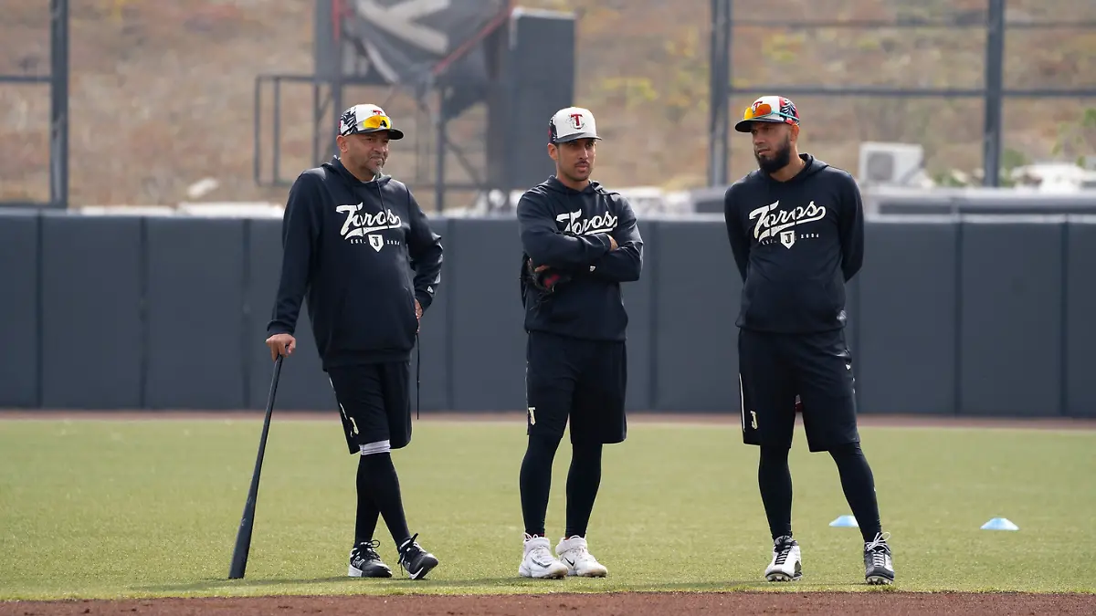 baja series besibol en la paz