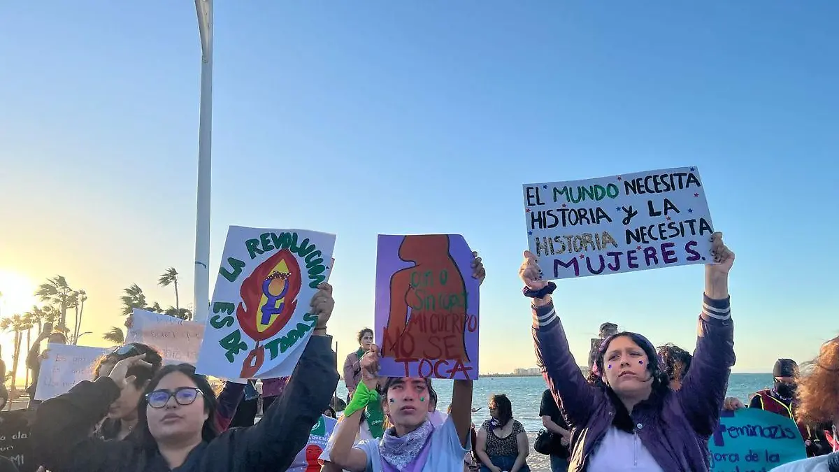 cuántas mujeres fueron víctimas de lesiones dolosas en baja california sur en 2025
