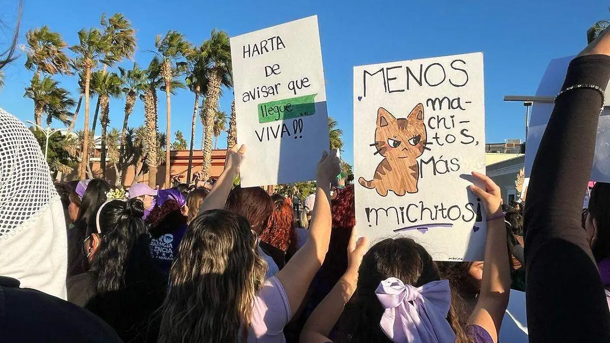 cuántas llamadas de emergencia por violencia contra la mujer se recibieron en baja california sur