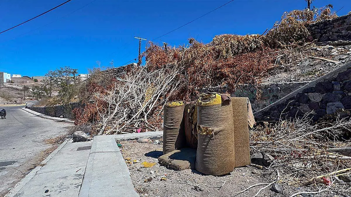 cuanto tiempo llevan sin que pase la basura por el pedregal