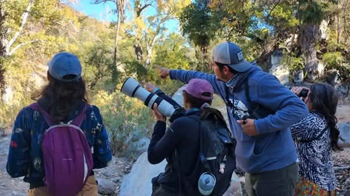acuden las personas a fotografiar a las aves