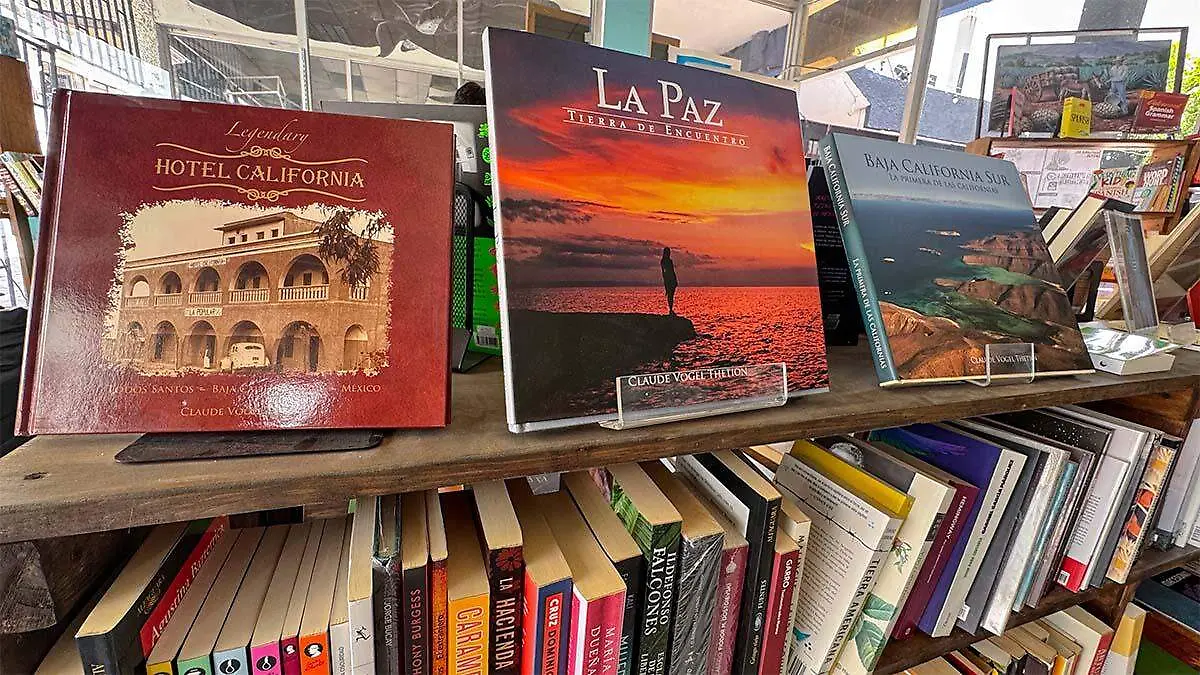 puedo hacer consultas literarias en las instalaciones