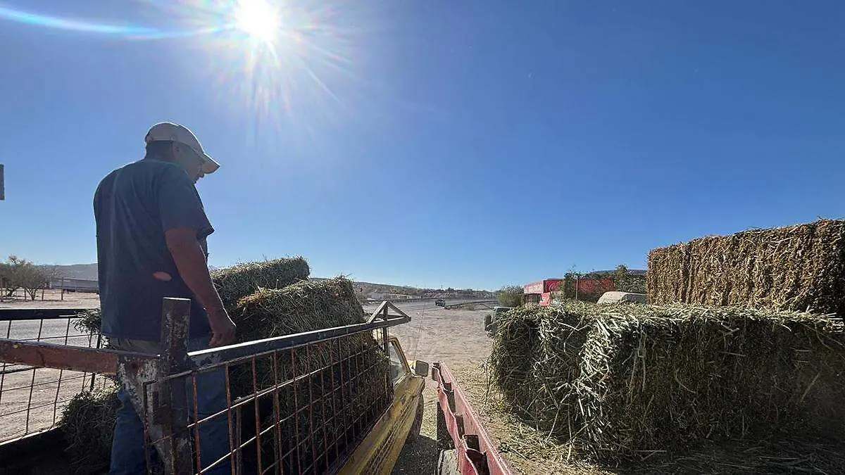 como se ha agravado el problema del suministro de agua en colonias populares de la paz