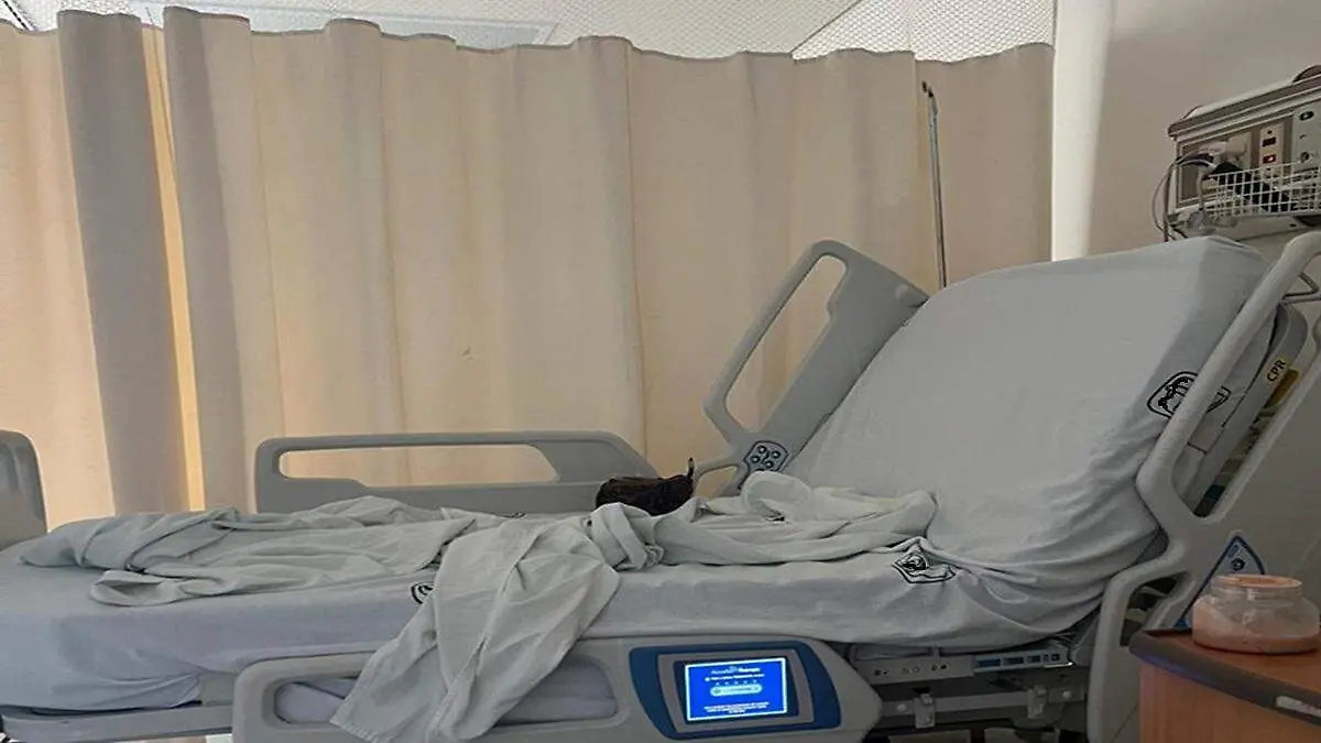 que porcentaje se ahorran los pacientes al realizarse un procedimiento quirurgico en los cabos