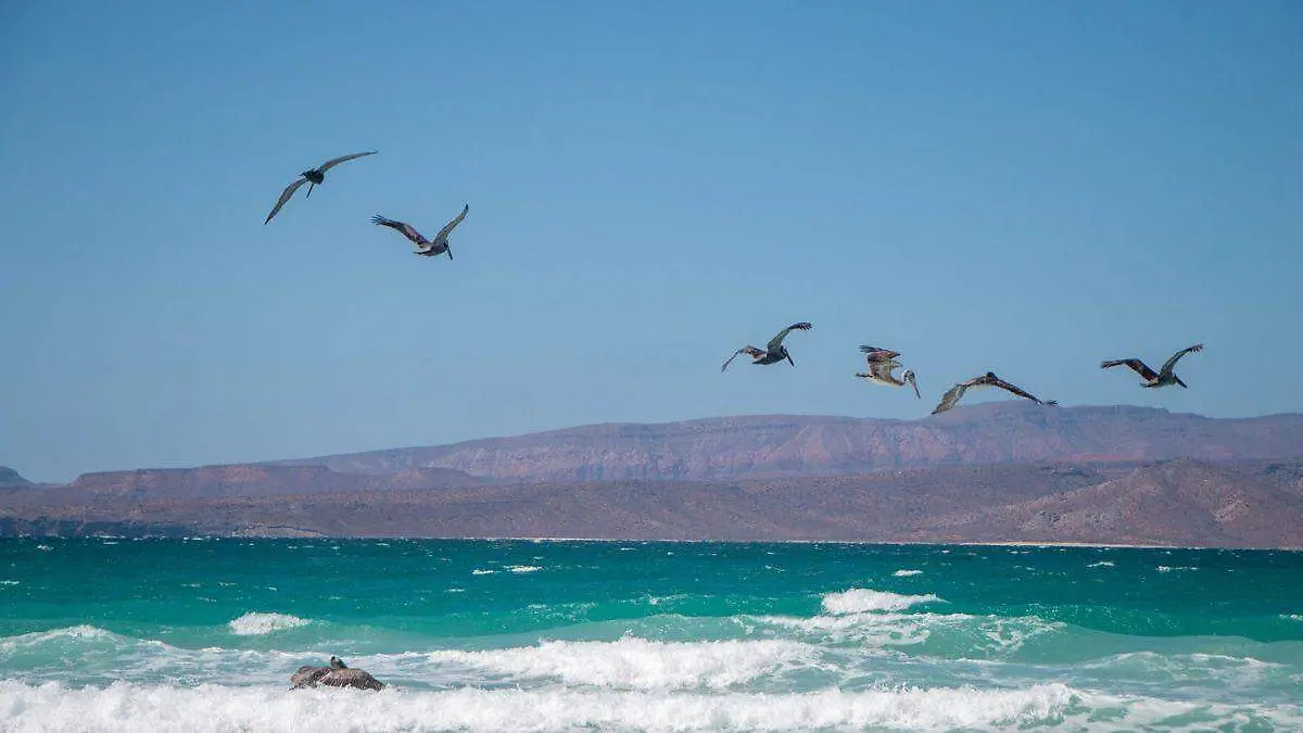 Si vas a la playa esta Semana Santa, esto debes saber para no ahogarte