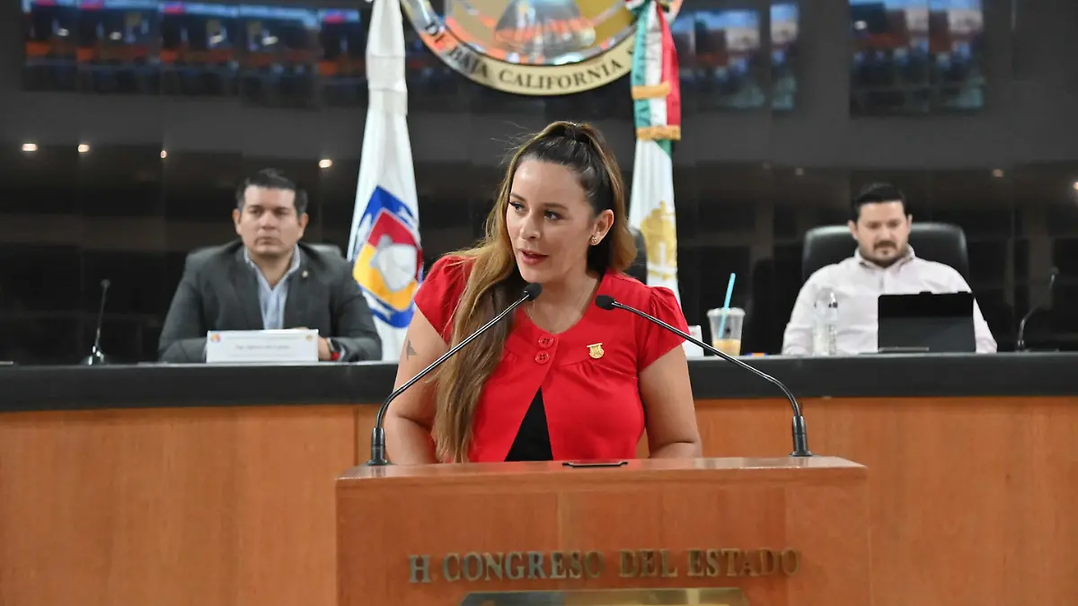 que buscan lograr las ciudades de baja california sur y california con esta colaboracion