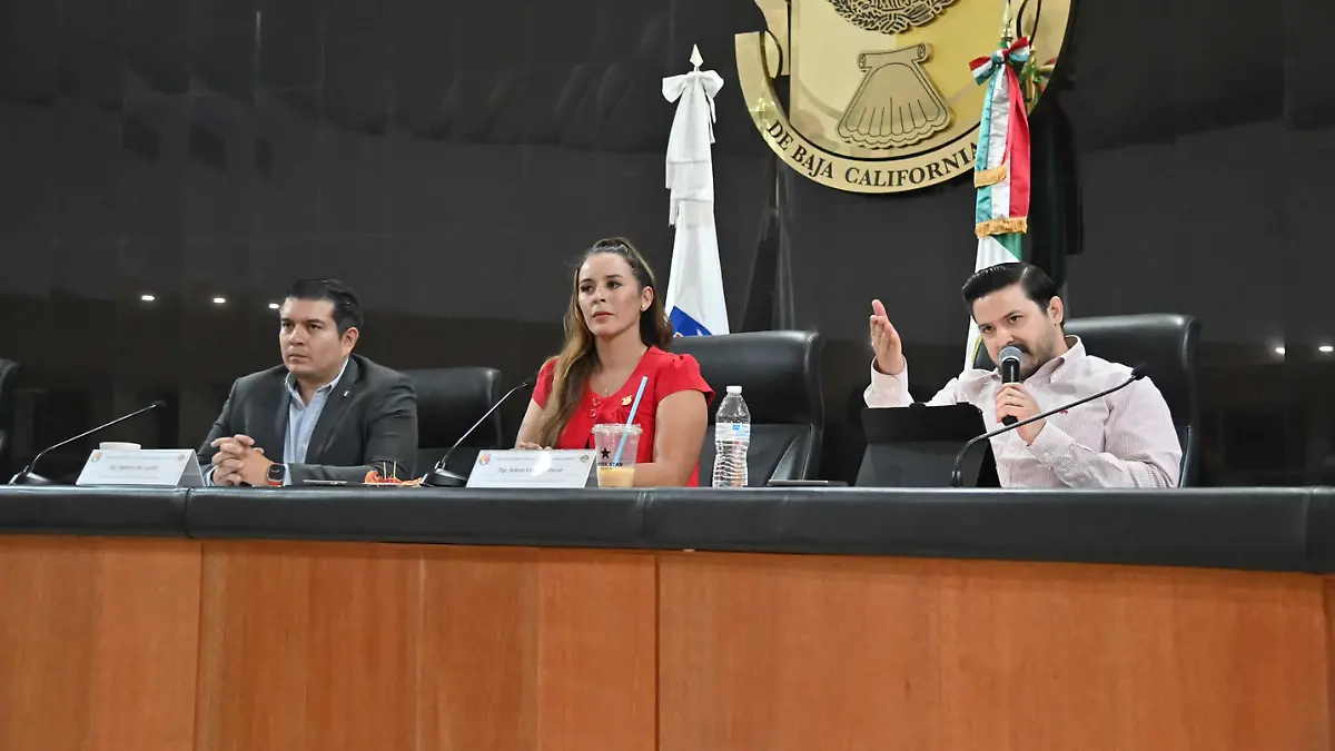 que temas estan analizando baja california sur y california para trabajar en conjunto