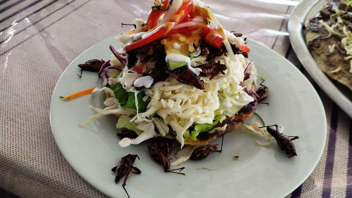 gastronomia oaxaquena en la paz