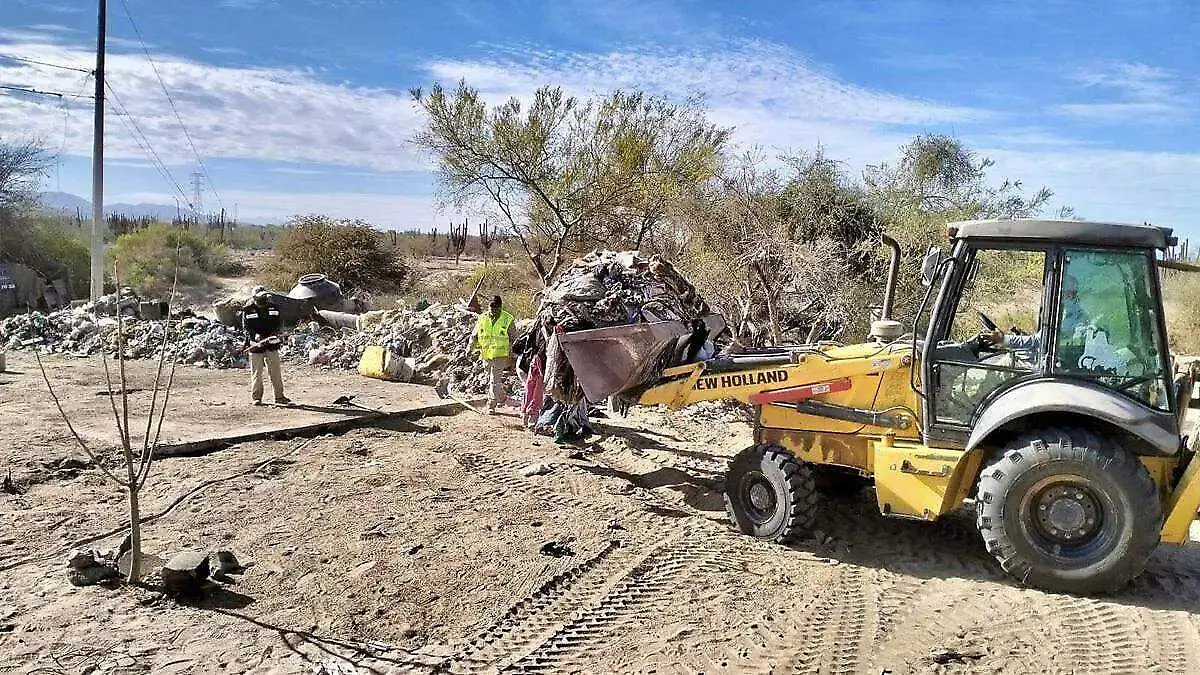 cuantas empresas participaron en la cecoleccion de basura