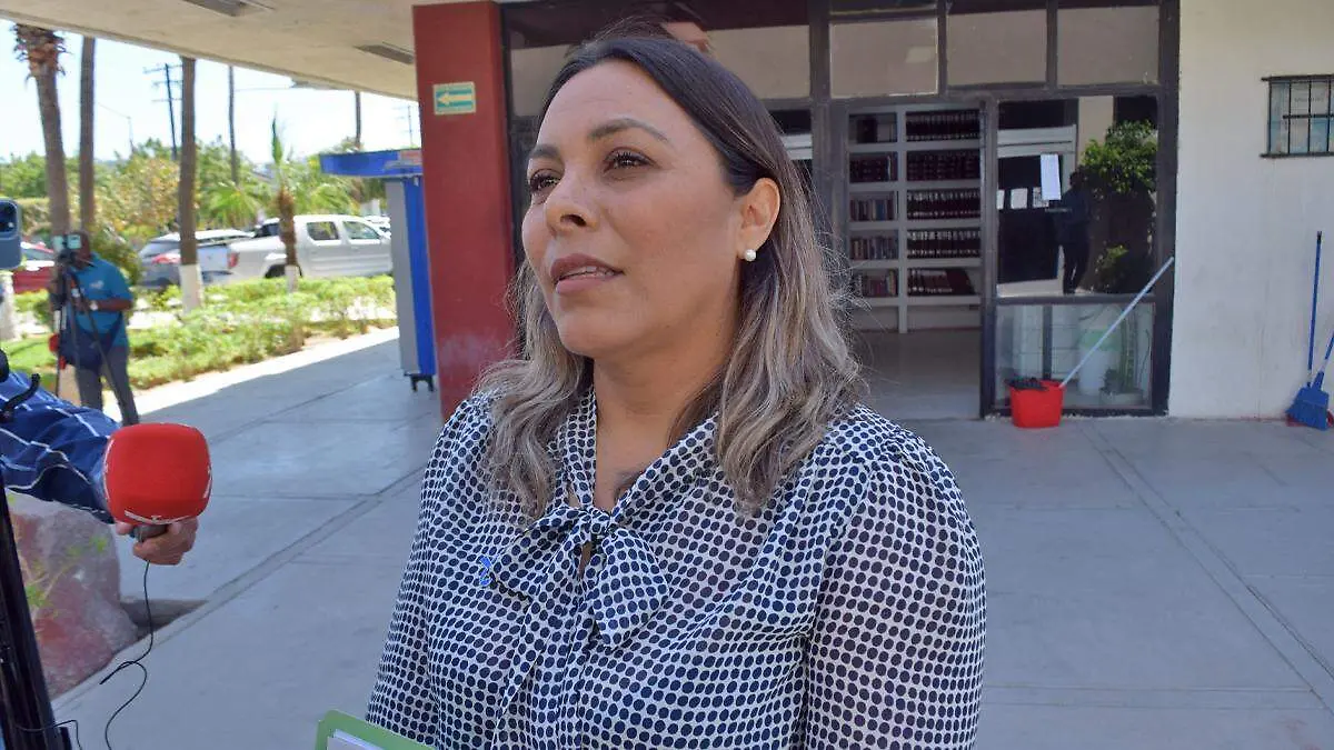 Lourdes Cornejo diputada panal